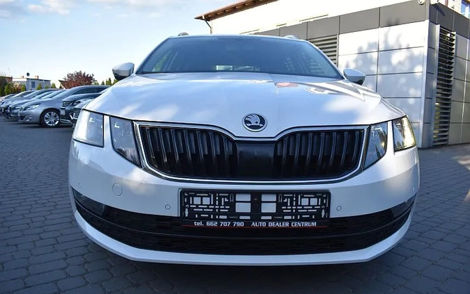 Skoda Octavia cena 54999 przebieg: 190000, rok produkcji 2020 z Płońsk małe 781